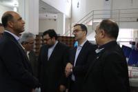بازدید